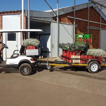 64275353_2304253063021181_9108363283798163456_n 64275353_2304253063021181_9108363283798163456_n